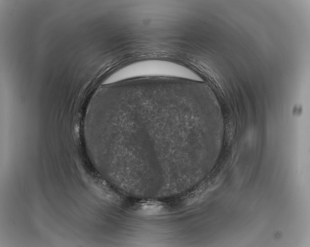 X0000097290214200803071738