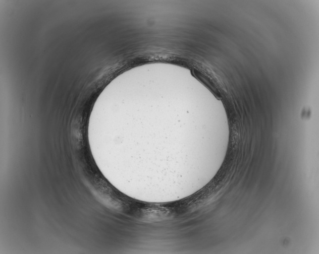 X0000097290215200803071738