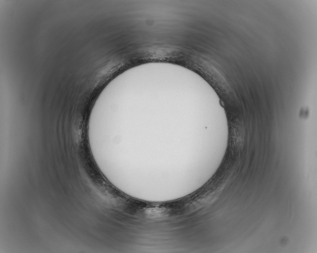 X0000097290216200803071738