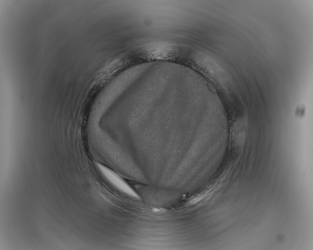 X0000097290217200803071738