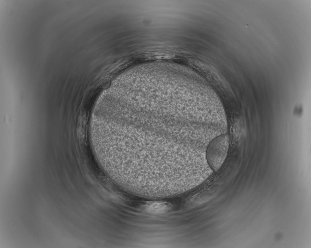 X0000097290218200803071738