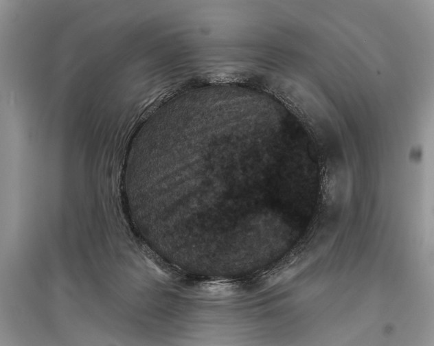 X0000097290219200803071738