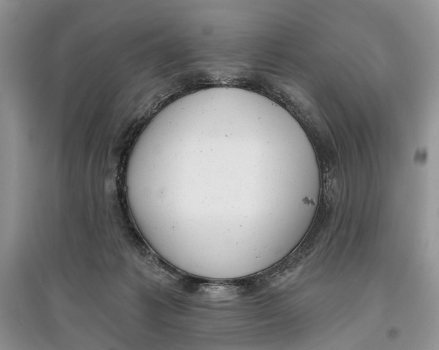 X0000097290221200803071738