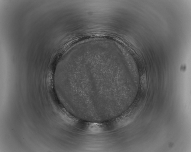 X0000097290222200803071738