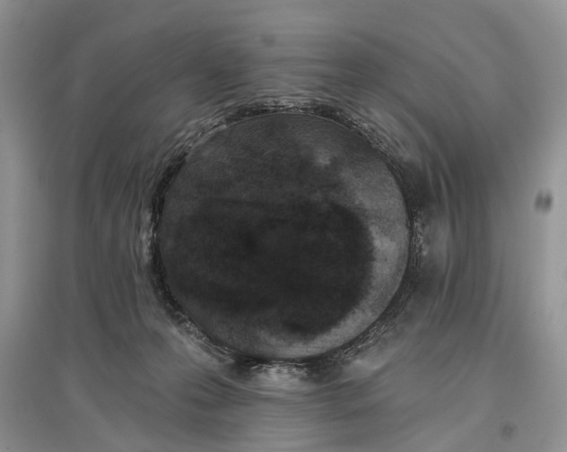 X0000097290223200803071738