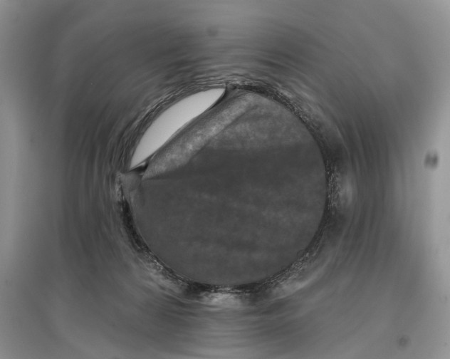 X0000097290224200803071738