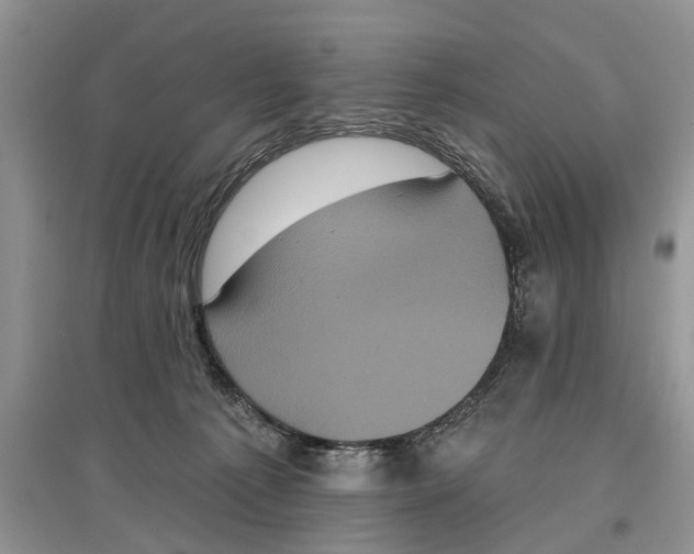 X0000097290225200803071738