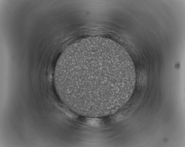 X0000097290226200803071738