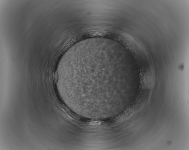 X0000097290227200803071738