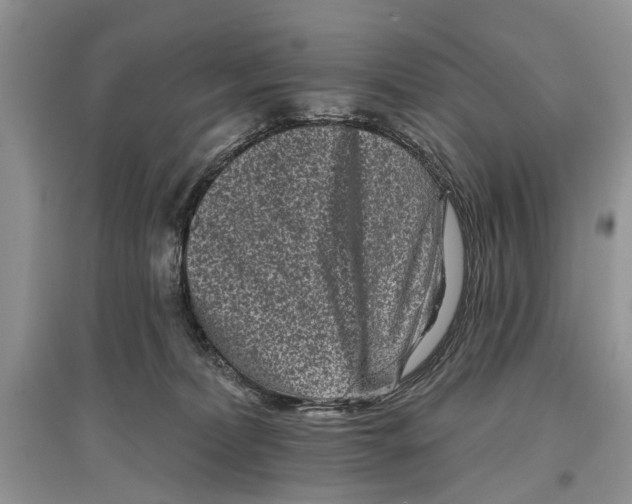 X0000097290228200803071738