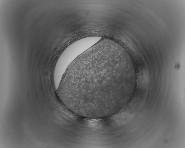 X0000097290229200803071738