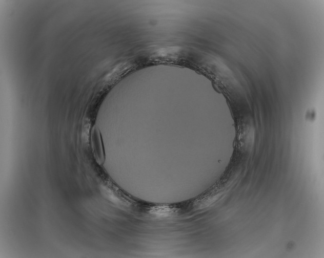 X0000097290231200803071738