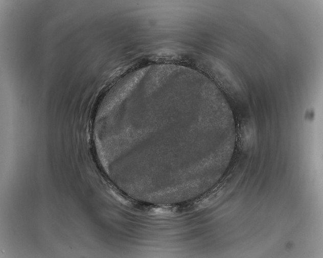 X0000097290232200803071738