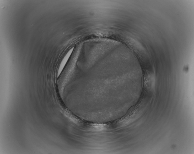 X0000097290233200803071738