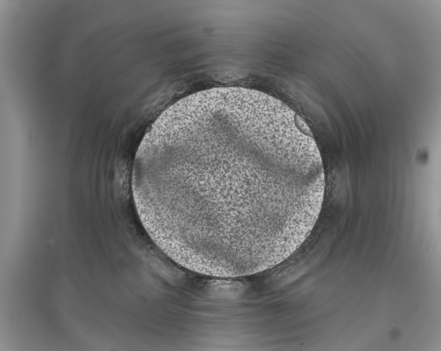 X0000097290234200803071738