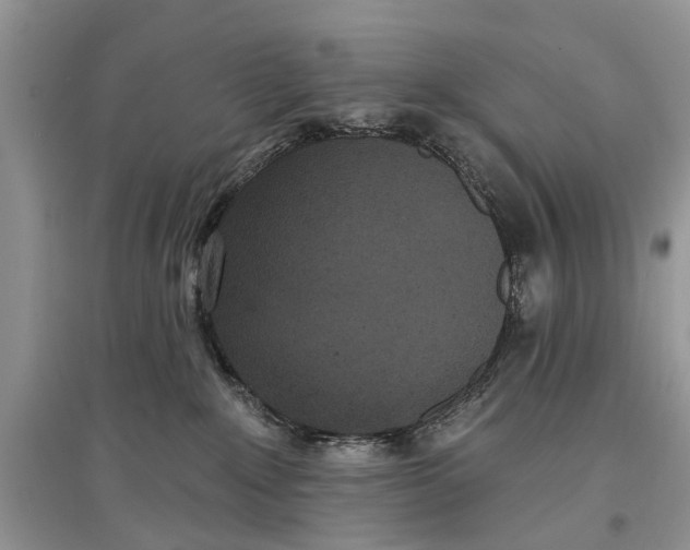 X0000097290235200803071738