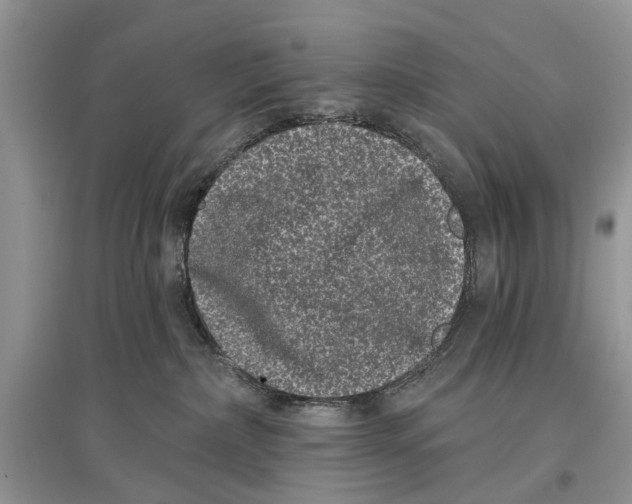 X0000097290236200803071738