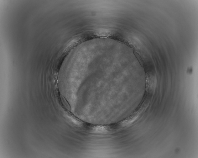 X0000097290237200803071738