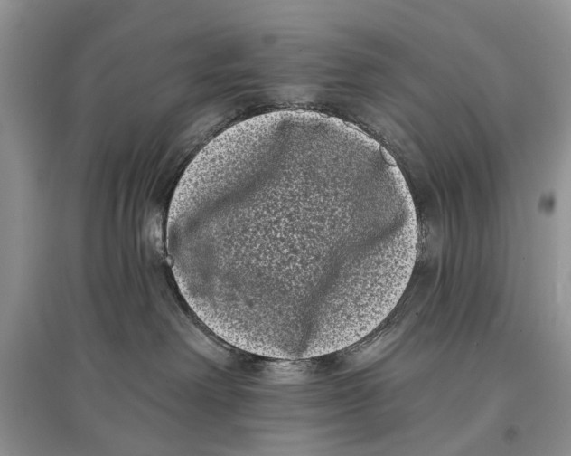 X0000097290238200803071738