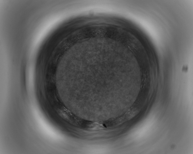 X0000097290239200803071738