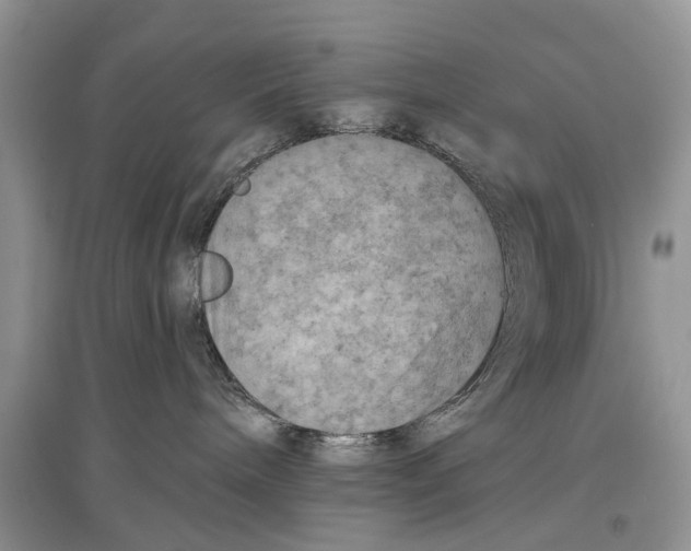 X0000097290240200803071738