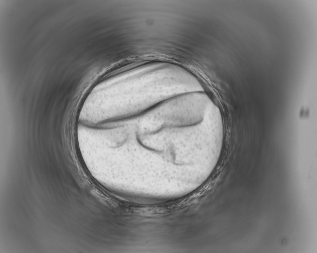 X0000097290241200803071737