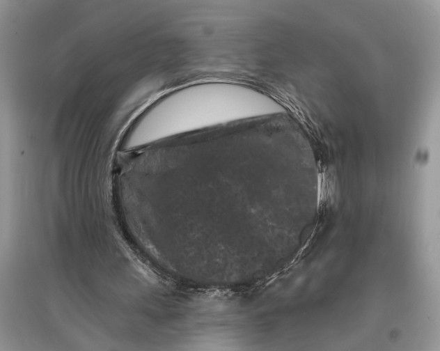 X0000097290243200803071737