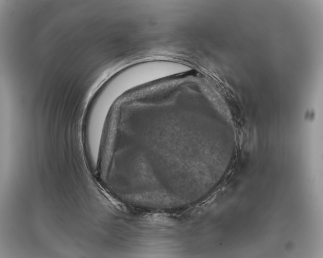 X0000097290244200803071737