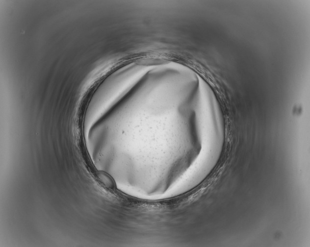 X0000097290245200803071737