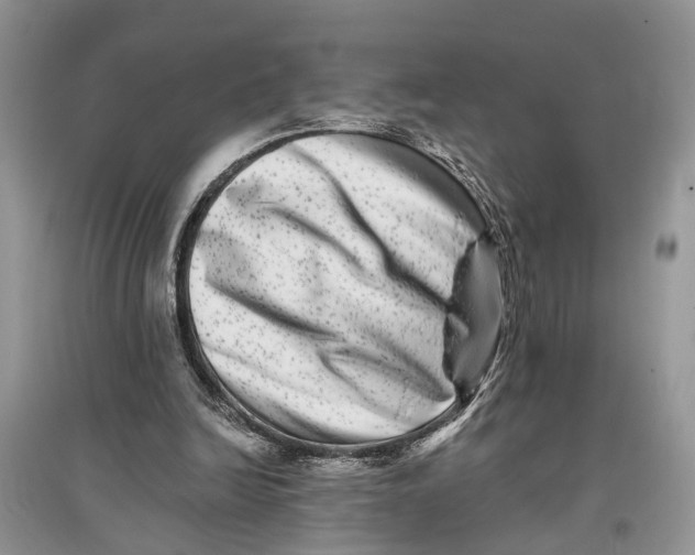 X0000097290246200803071737