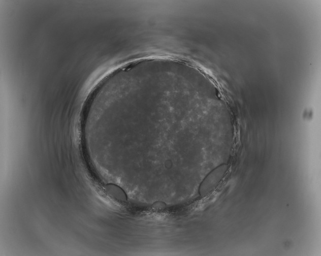 X0000097290247200803071737