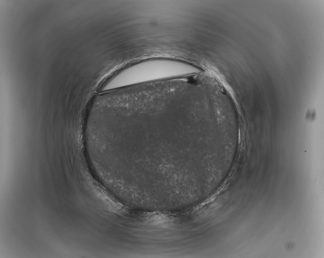 X0000097290249200803071737