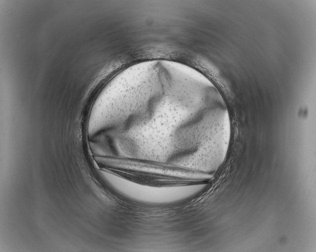 X0000097290250200803071737