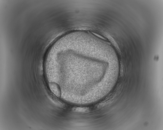 X0000097290251200803071738