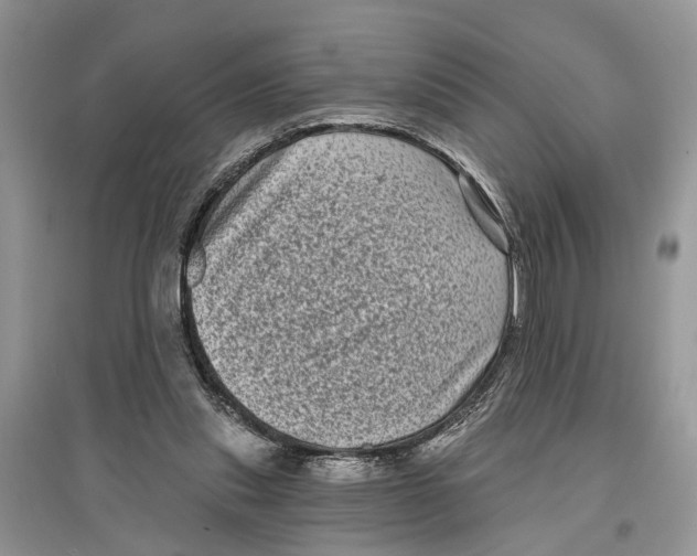 X0000097290253200803071738