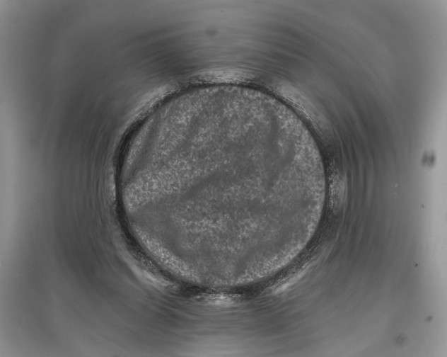 X0000097290254200803071738