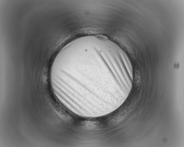 X0000097290255200803071738