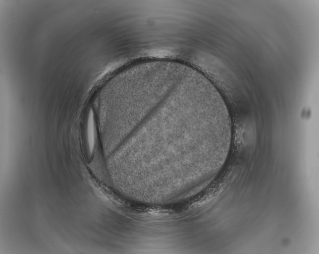 X0000097290256200803071738