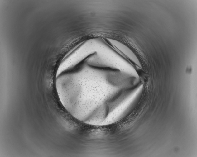 X0000097290259200803071738