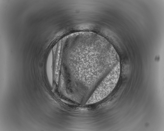 X0000097290260200803071738