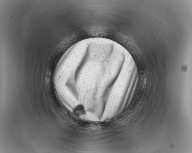 X0000097290263200803071738