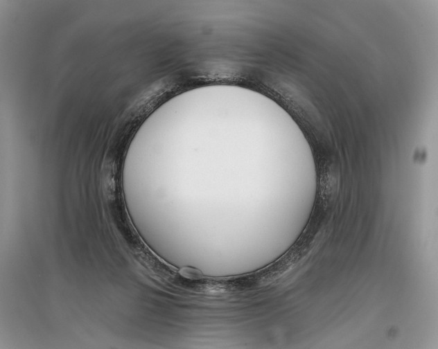 X0000097290264200803071738