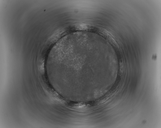 X0000097290267200803071738