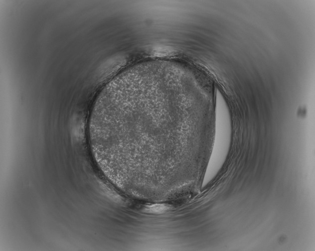 X0000097290269200803071738