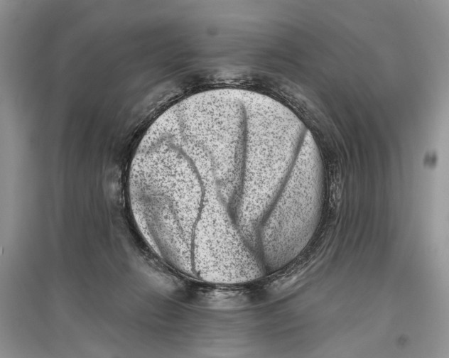 X0000097290270200803071738