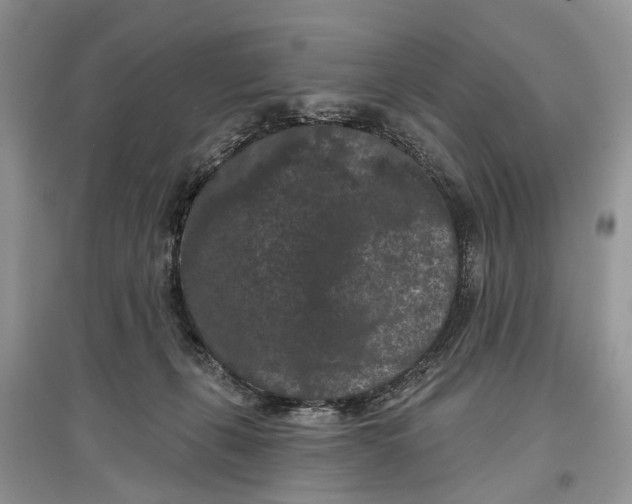 X0000097290271200803071738