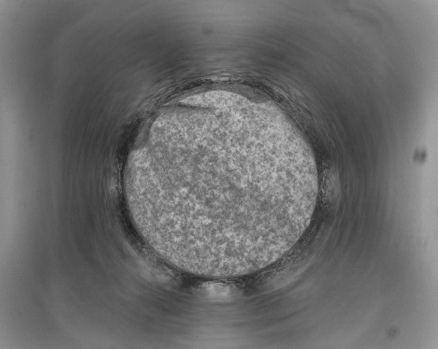 X0000097290272200803071738