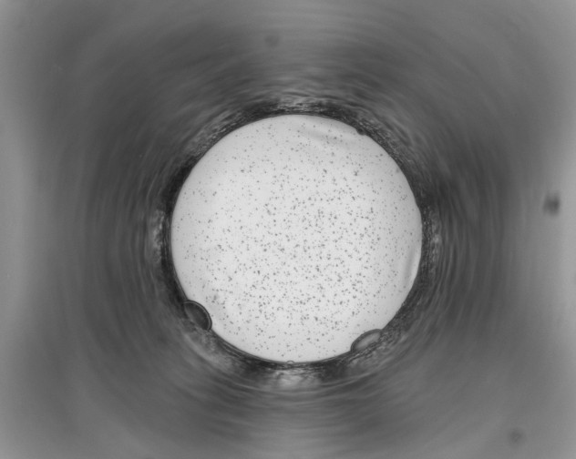 X0000097290275200803071738