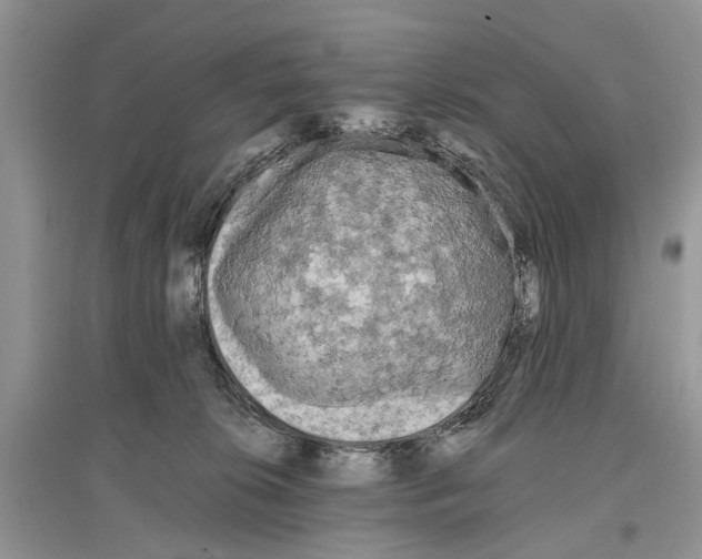 X0000097290276200803071738