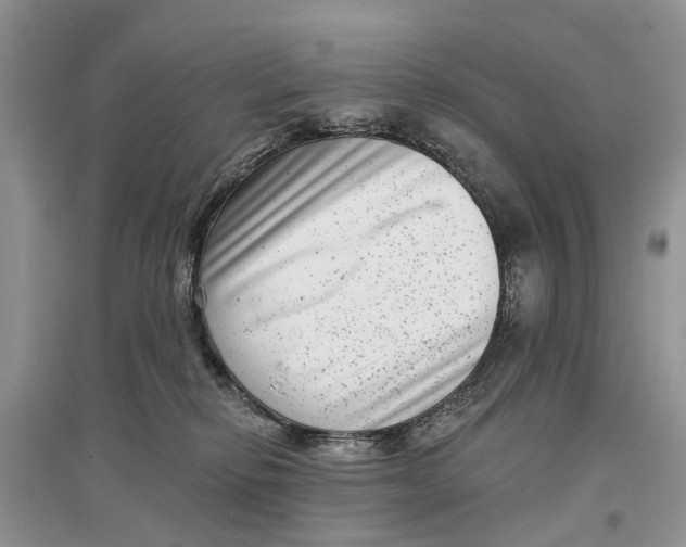 X0000097290278200803071738